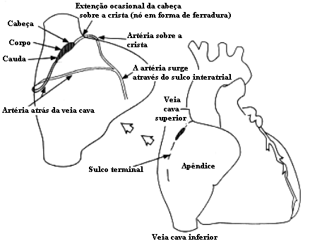 fig01-08.gif