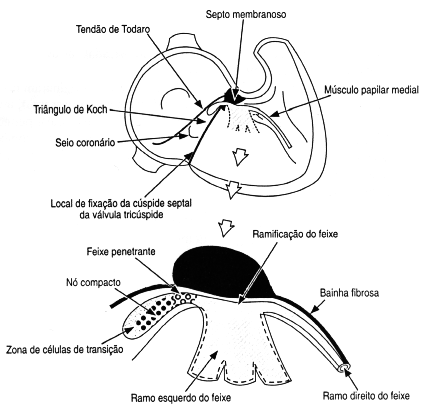 fig01-13.gif