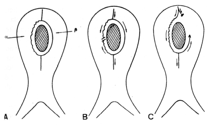 fig10-01.gif
