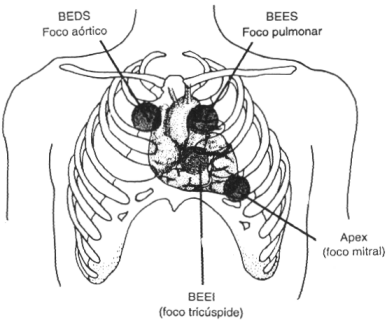 fig01-12.gif
