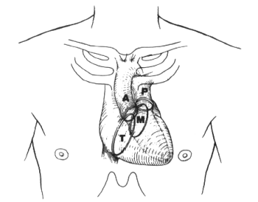 fig01-4.gif