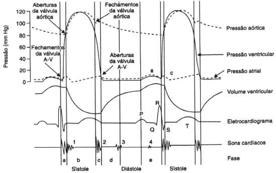 fig01-6.gif