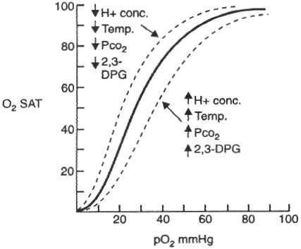 fig05-1.gif