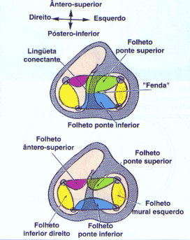 fig06-6.gif