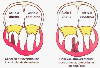fig07-14.gif
