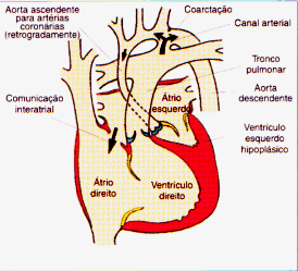 fig10-8.gif